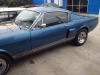 Mustang