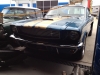 Mustang